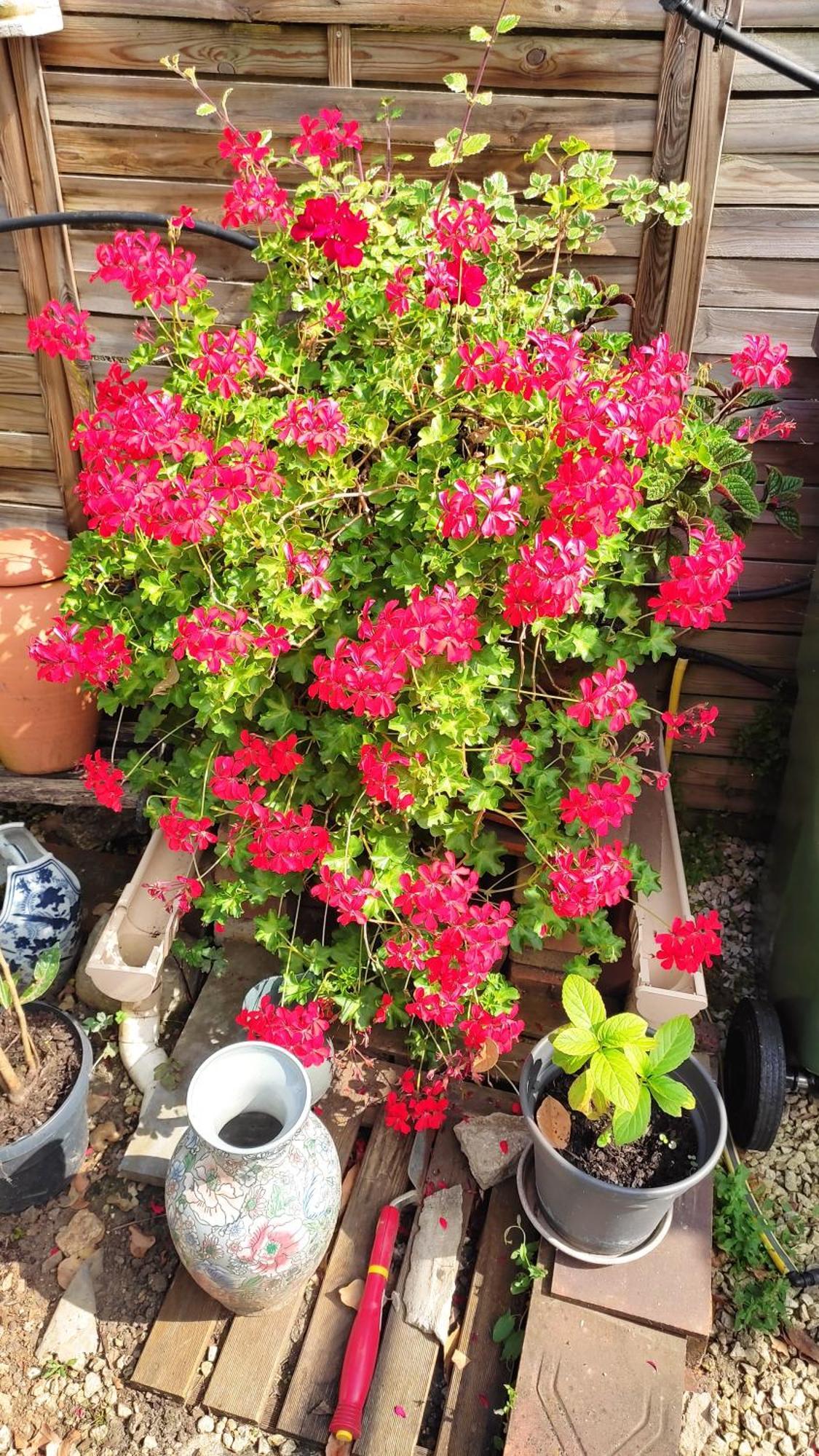 Un Deux Pieces Et Un Jardin A Villejuif Exterior foto